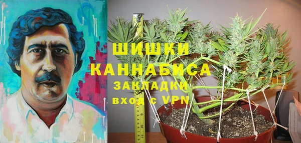 2c-b Белокуриха