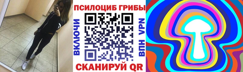 Галлюциногенные грибы GOLDEN TEACHER  как найти наркотики  Богородск 