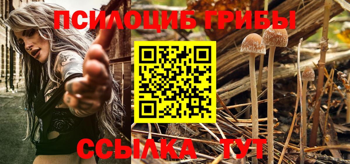 Галлюциногенные грибы прущие грибы  Вход с VPN  Богородск  Галлюциногенные грибы MAGIC MUSHROOMS 