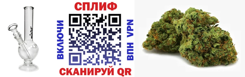 Бошки Шишки план  Богородск 